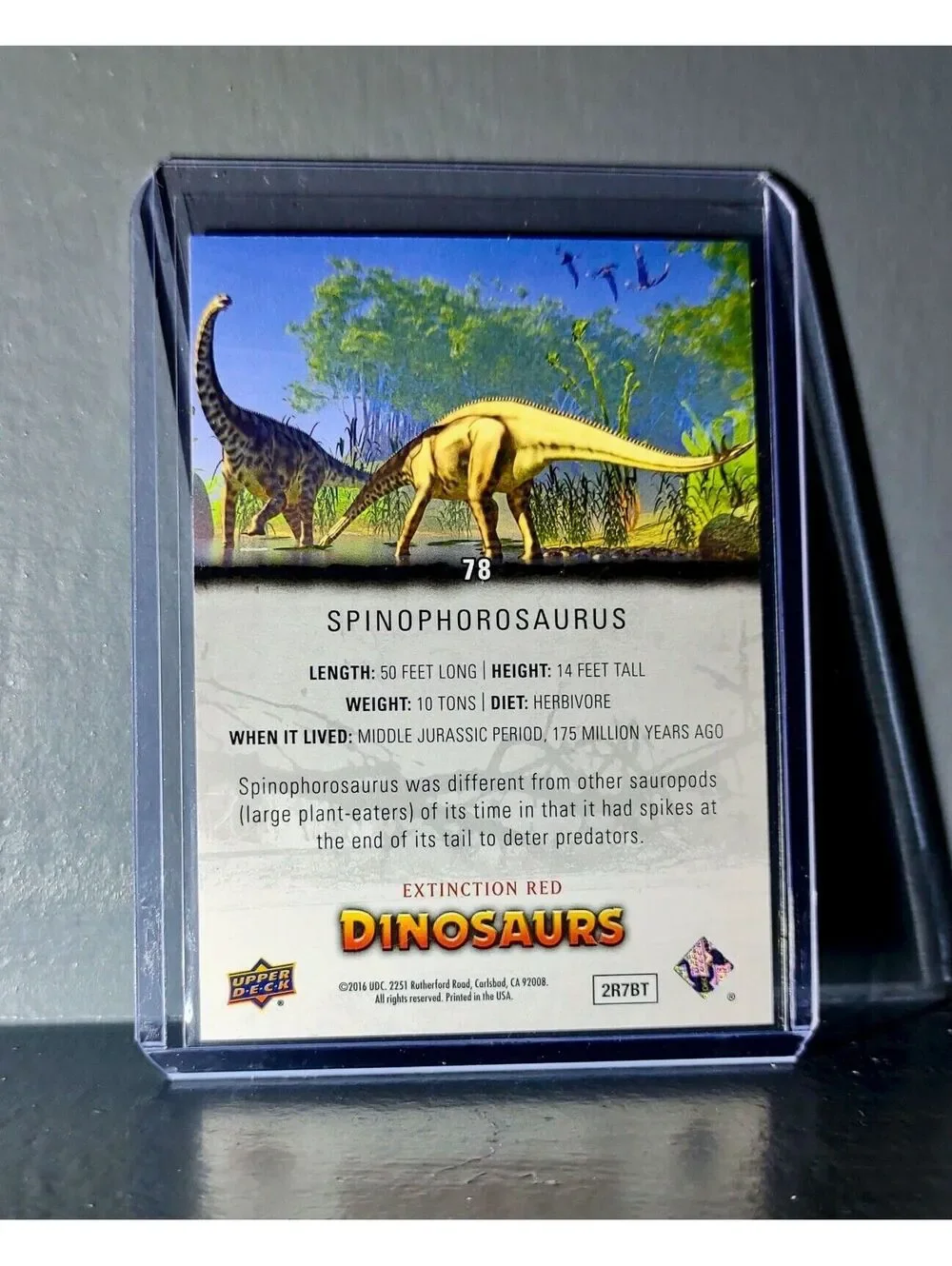 2015 Upper Deck Dinosaurs Spinophorosaurus Extinction Red Parallel #78 Card